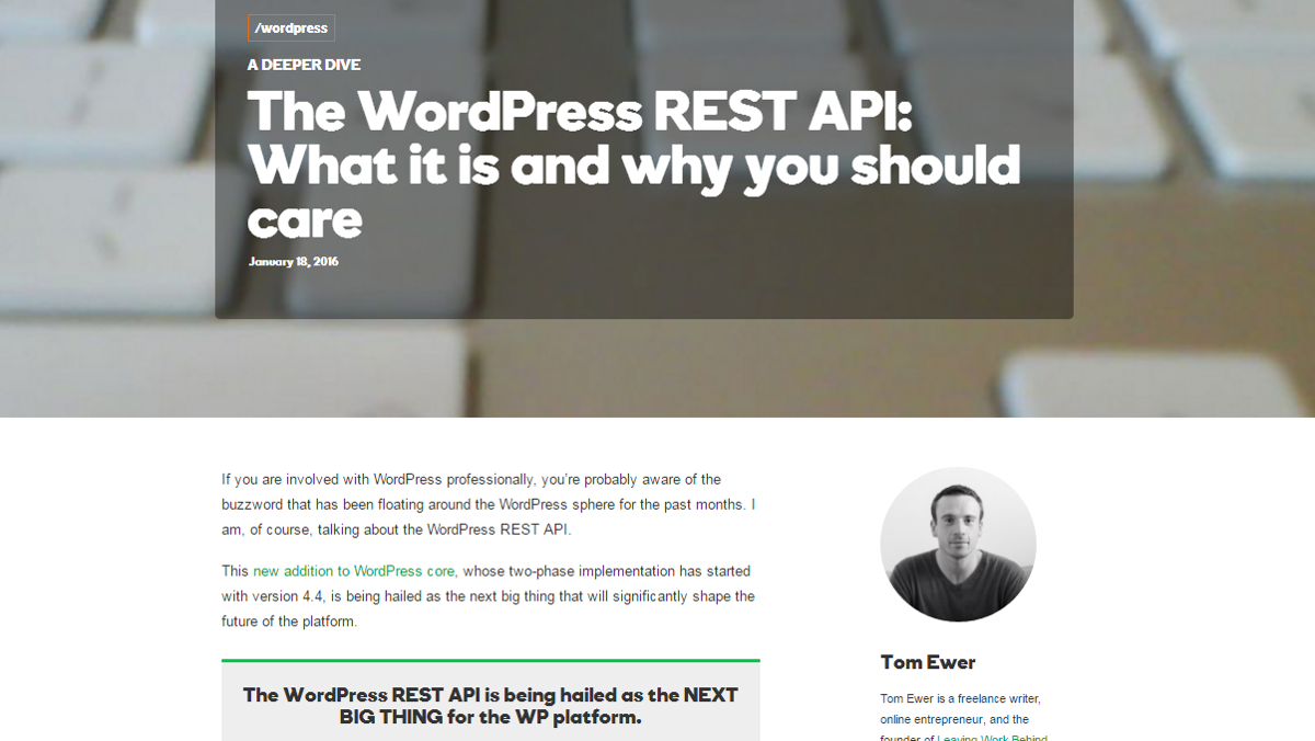 Blog post about the WordPress API