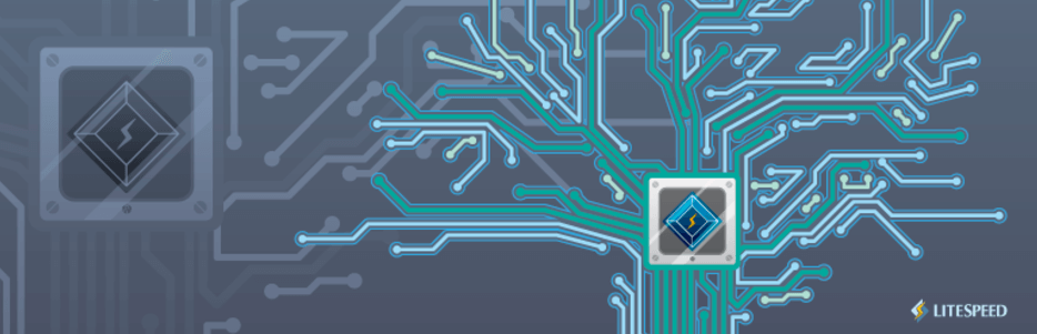 The LiteSpeed Cache plugin.