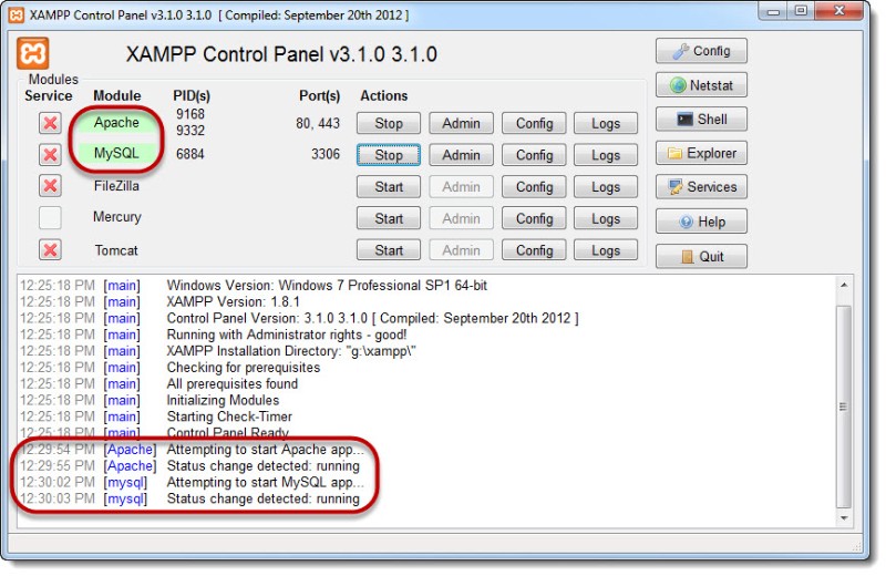 xampp database tutorial