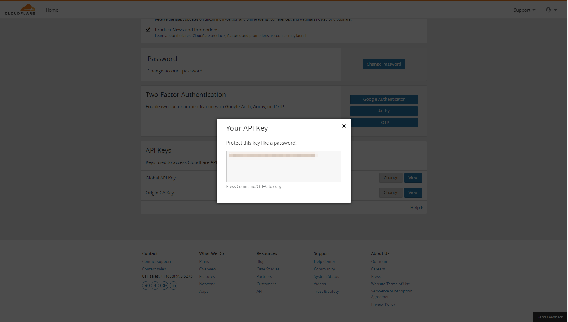 Copying your Cloudflare API key.