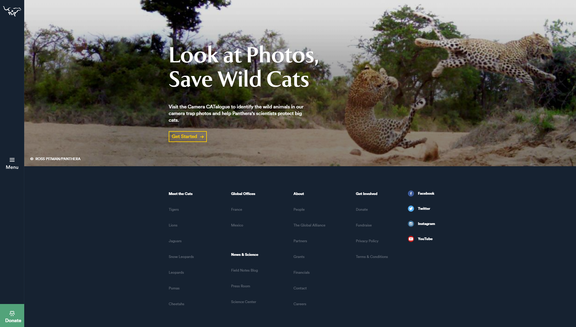 The Panthera homepage.